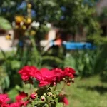 Stinjan Apartmani Elda